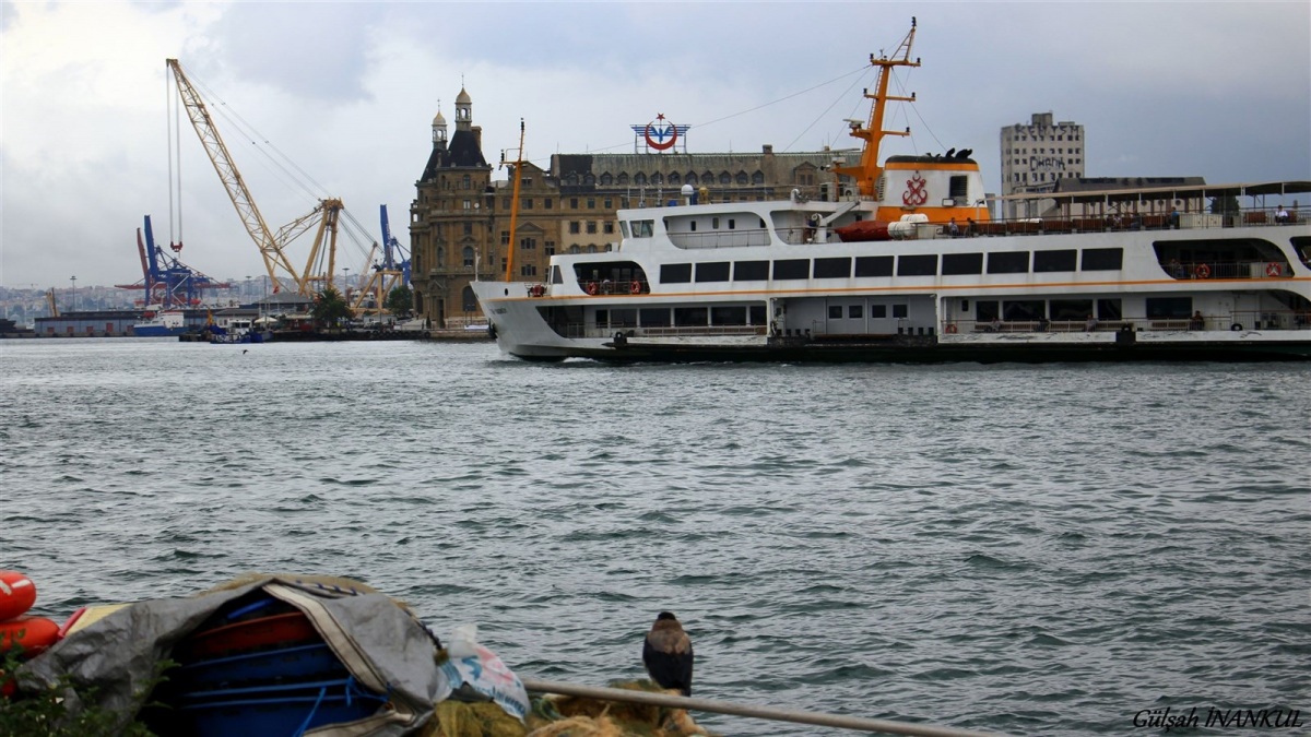 Leş Kargası