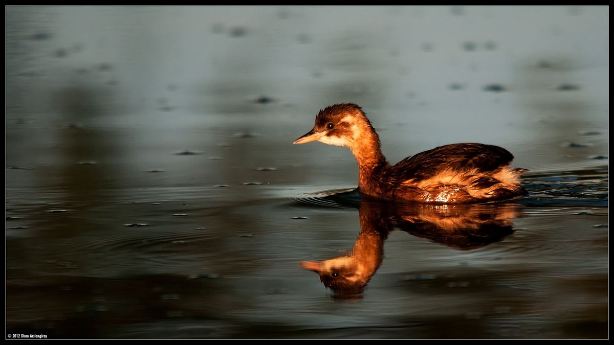 Küçük Batağan