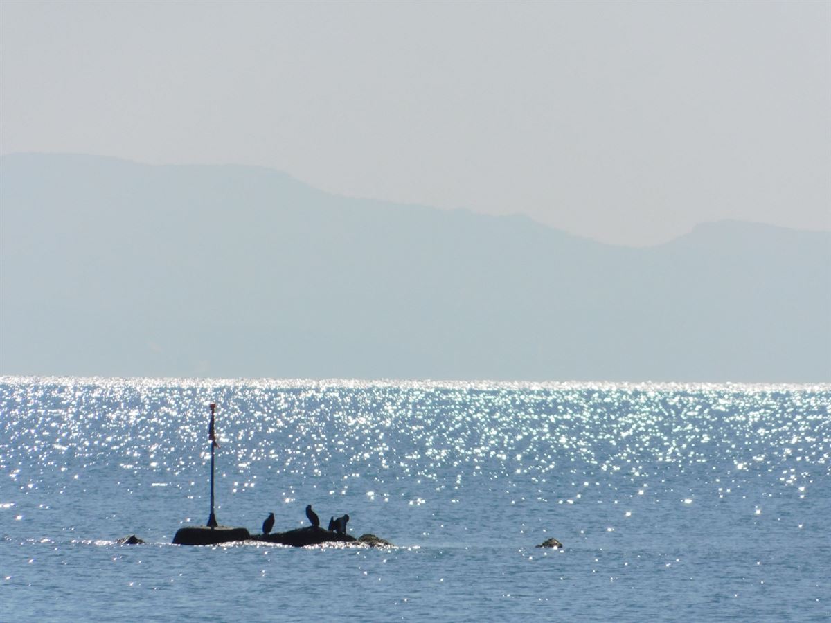 Karabatak