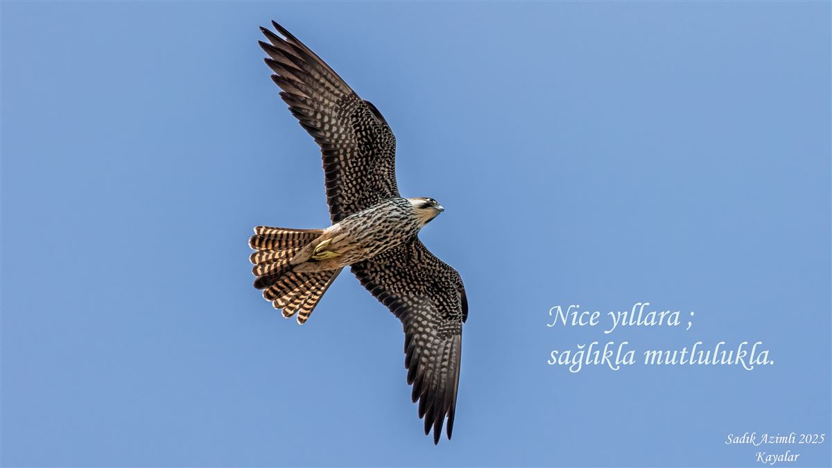 Ada Doğanı