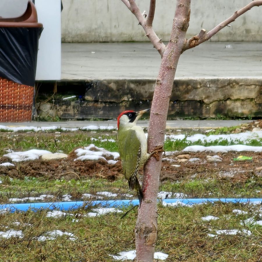 Tanımsız