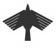Feyyaz Burus