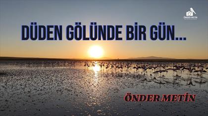 DÜDEN GÖLÜ VE KUŞLARI