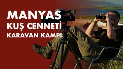 Manyas Kuş Cenneti'nde Köklere Dönüş