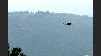Tanımsız
