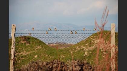 Tanımsız