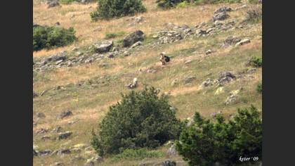 Tanımsız