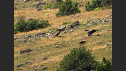 Tanımsız