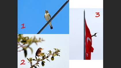 Tanımsız