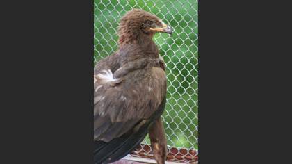 Tanımsız