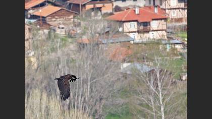 Tanımsız