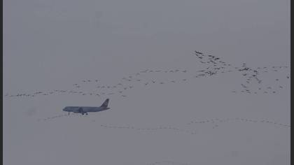 Tanımsız