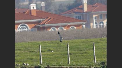 Tanımsız