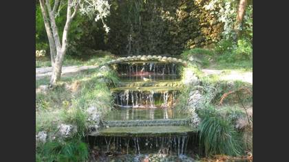 Dağ Kuyruksallayanı