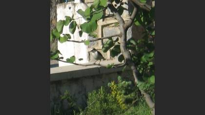 Tanımsız