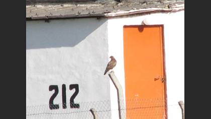 Tanımsız