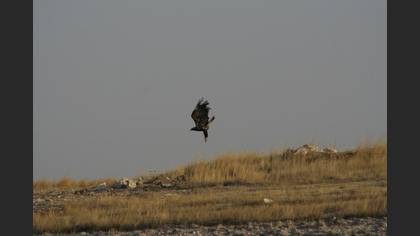 Tanımsız