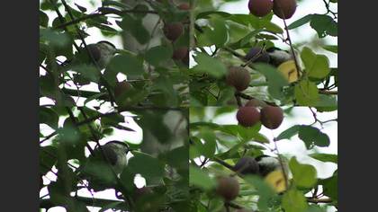 Tanımsız