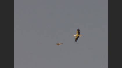Tanımsız