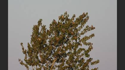 Tanımsız