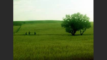 Tanımsız