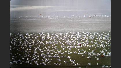 Tanımsız