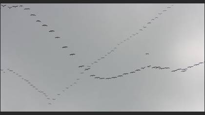 Tanımsız