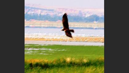 Tanımsız