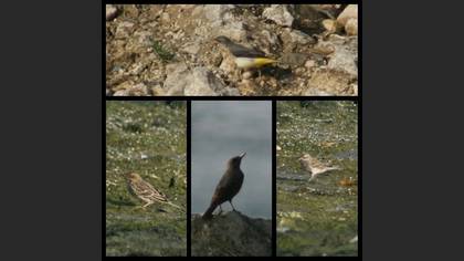 Tanımsız