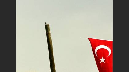 Tanımsız