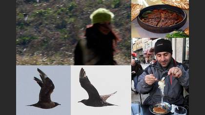 Tanımsız
