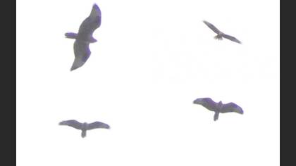 Tanımsız