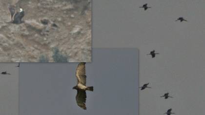 Tanımsız