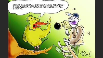Tanımsız