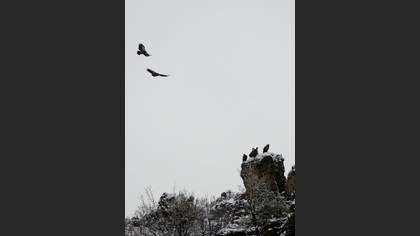 Tanımsız