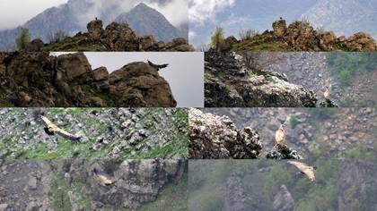 Tanımsız