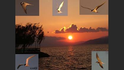 Tanımsız