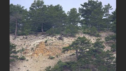 Tanımsız