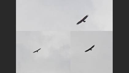 Tanımsız