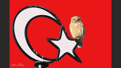 Tanımsız