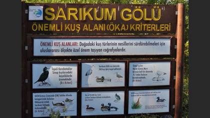 Tanımsız