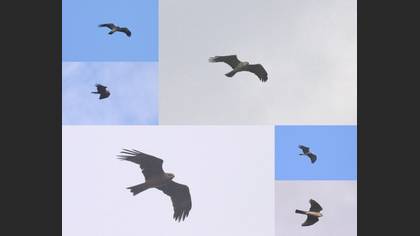 Tanımsız