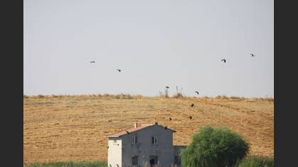Tanımsız