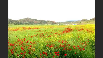 Tanımsız