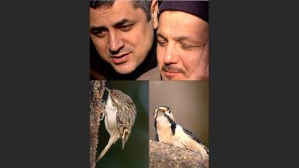 Tanımsız