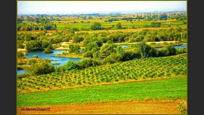 Tanımsız