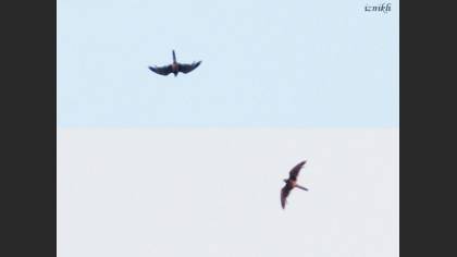 Tanımsız