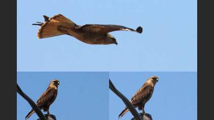 Tanımsız