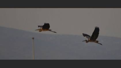Tanımsız