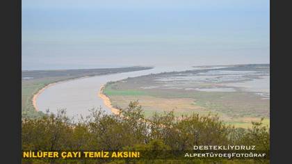Tanımsız